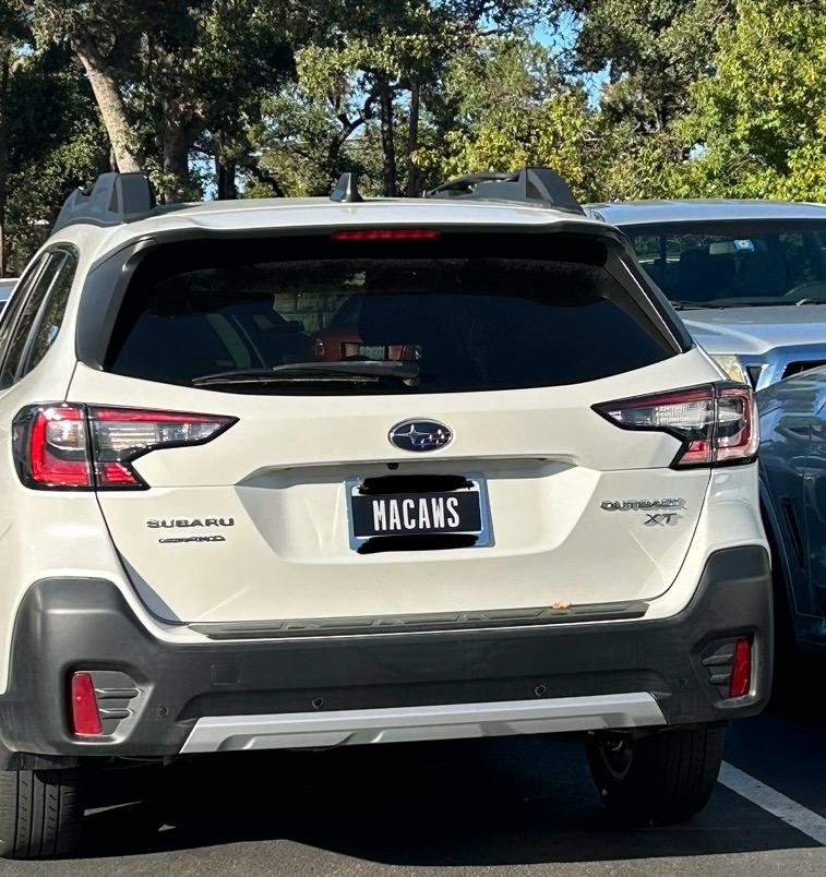 i think this is exactly what custom plates are for