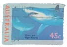 1995, Australia, Marine Life: Mako and Tiger Sharks