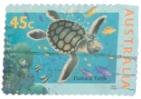 1995, Australia, Marine Life: Flatback Turtle
