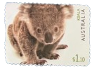 2019, Australia, Australian Fauna: Koala