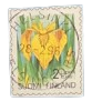 1993, Finland, Yellow Iris