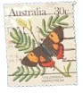 1983, Australia, Butterflies: Silky Hairstreak