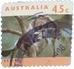 1994, Australia, Kangaroos and Koalas