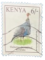 1996, Kenya, Birds: Vulturine Guineafowl/Kicheleko
